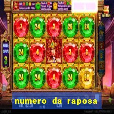 numero da raposa jogo do bicho